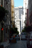 DSC_1417