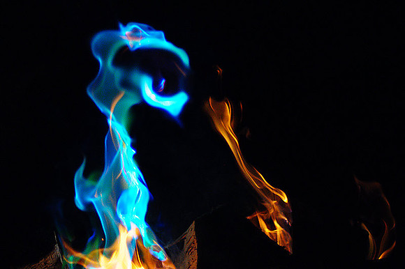 DSC_0119