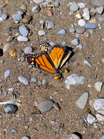 PXL_20260907_162458584~2